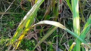 Best XXX Indian Village XXX Painful Porn In Hindi
