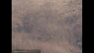Indian lady nature calls voyeur