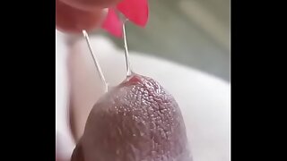 Gigolo Indbull juice