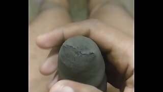 Indian cock